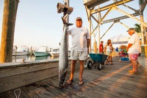 11885199_10153141426876448_8697874283642585095_n