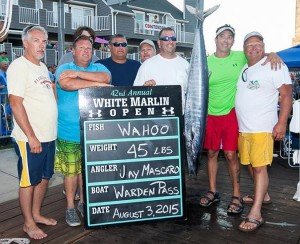 11828705_10153109602716448_1217401209234788206_n-1