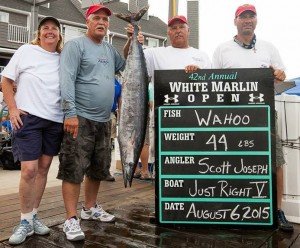 11800485_10153115693706448_8410484082580113519_n