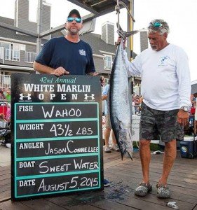 11822283_10153113521111448_5451186207173589843_n