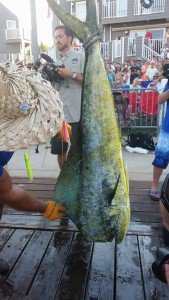 11202886_1003019716398527_8787268608598471548_n