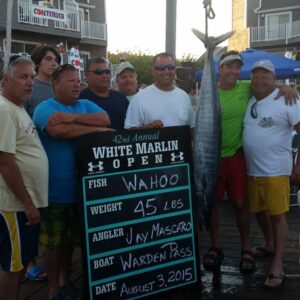 11811427_1002183053148860_7199562282683127939_n