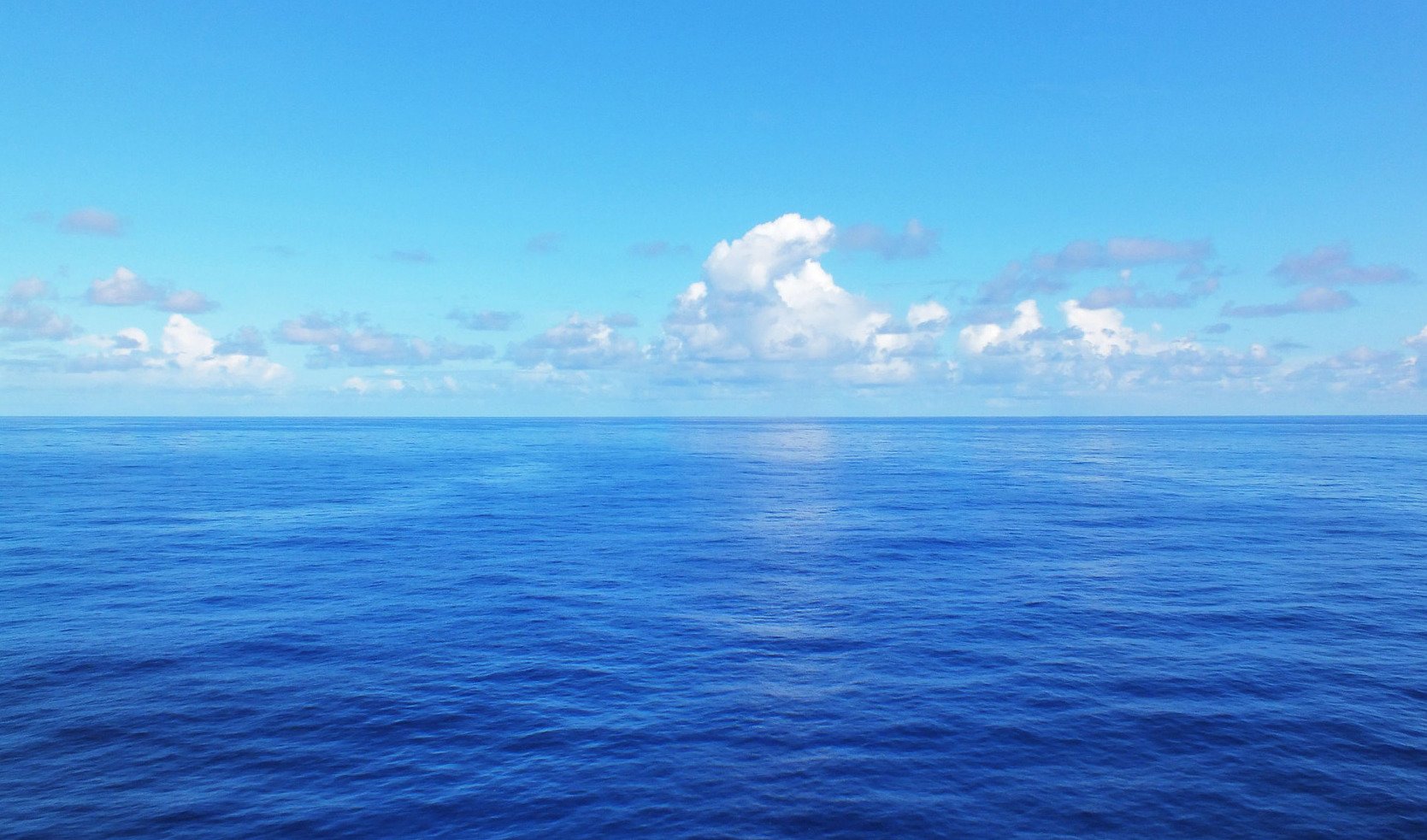 Short Window of Opportunity