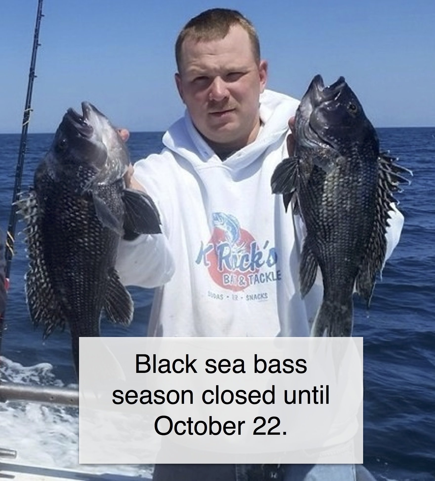 The Wind Keeps Blowin’