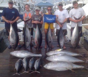 Marli 14 yellowfin white release