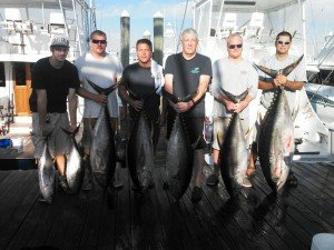 12003189_1000473536669708_320930675226039551_n