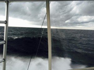 12004784_463412340504778_7506082102064338767_n