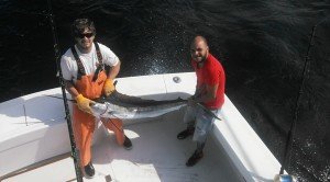 11988551_996325963751132_7121837187235232291_n