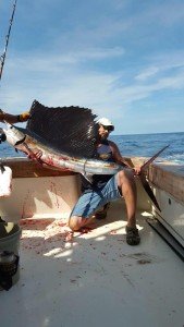 11205626_496763640499285_235173217328661817_n