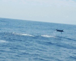 PART_1441663015246_20150802_121330