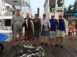 11987042_495510430624606_8165179669493497949_n