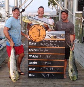 11949353_926101264113504_2289278509588256849_n