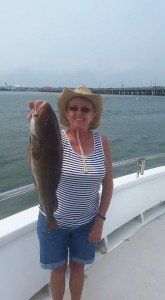 11201181_1170517936307035_3167732567333063796_n