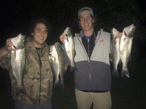 12049228_10206742521739226_717351058016909591_n