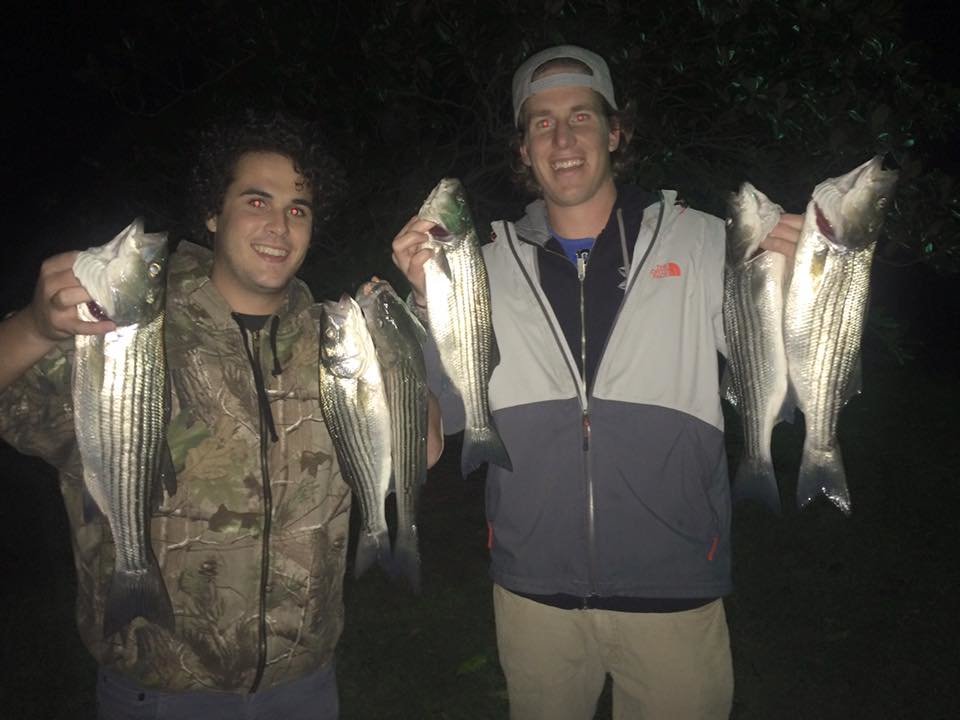 Rockfish on The Choptank
