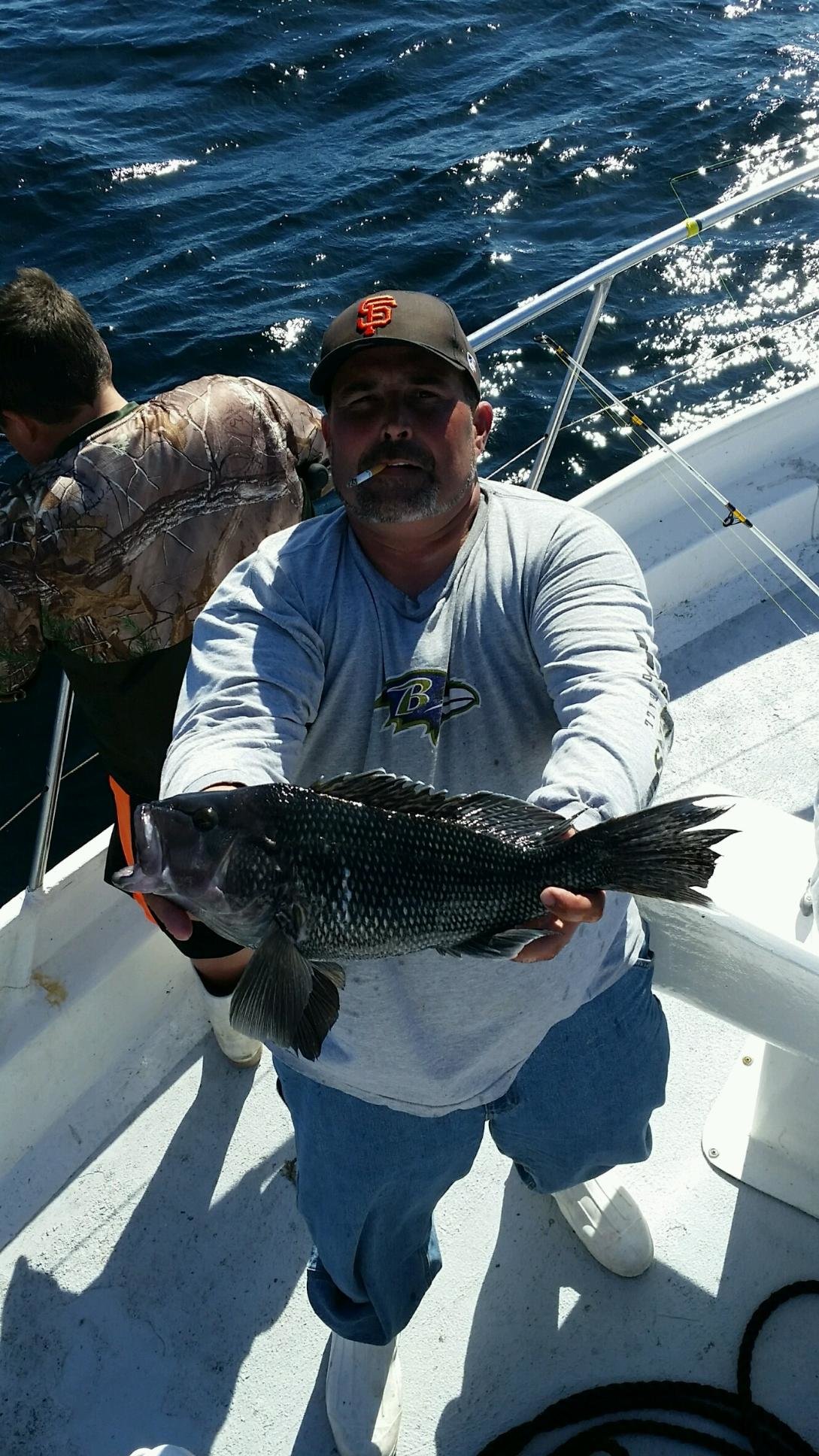 Sea Bass Season Reopens With a Bang
