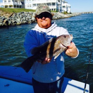 12122401_899796330069846_9012240676245158873_n