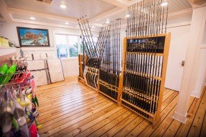 11924960_10153143769306448_5110761611797851018_n