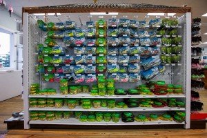 11888131_10153143767401448_9053546738871294515_n