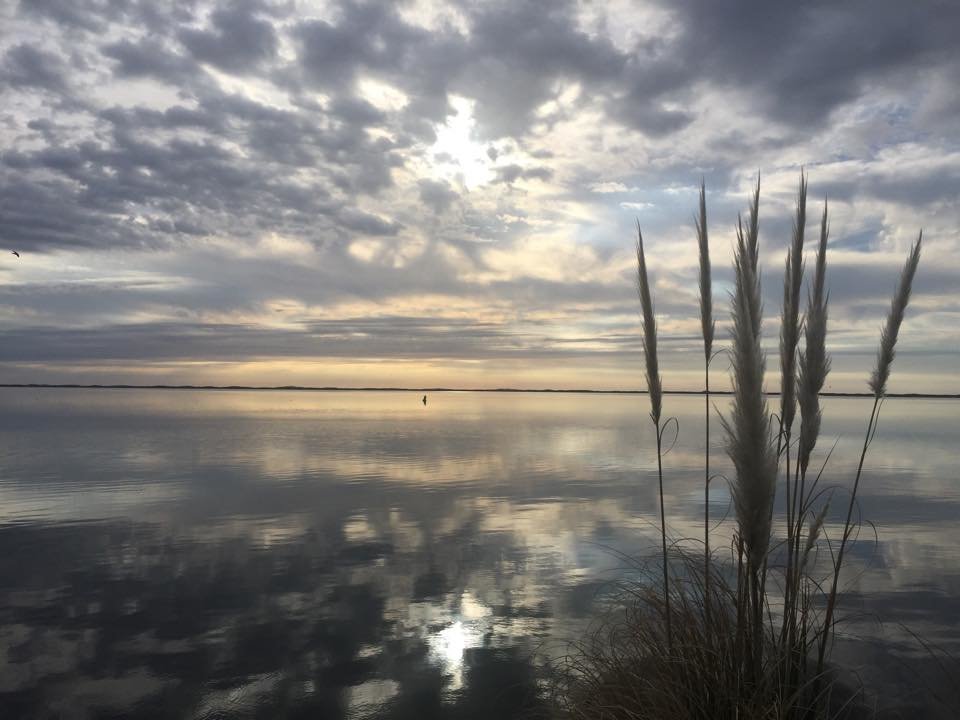 Beautiful Morning For Some Inshore Action