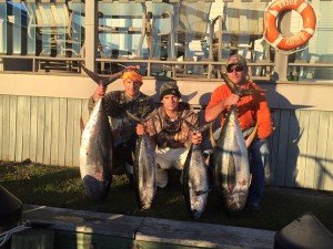 12118974_10206667855752623_8656578118204077749_n