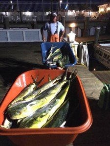 12118899_506767479498901_8598931920120889220_n