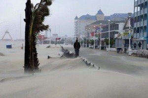 12072768_10206803354516343_4514350230853793272_n