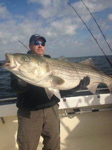 11221299_1069705189715630_7208129481799836868_n