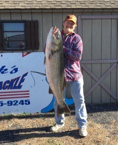 12241082_1058103640875717_6358317078281404976_o