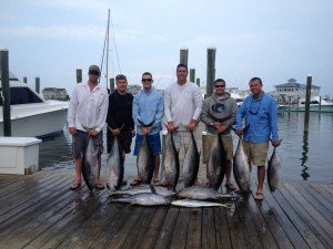 1891170_1601083193479118_4873765425053860134_n