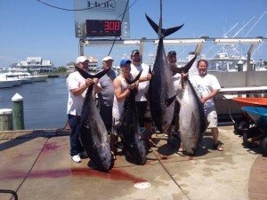 11011027_1603492896571481_6553565673356976819_n