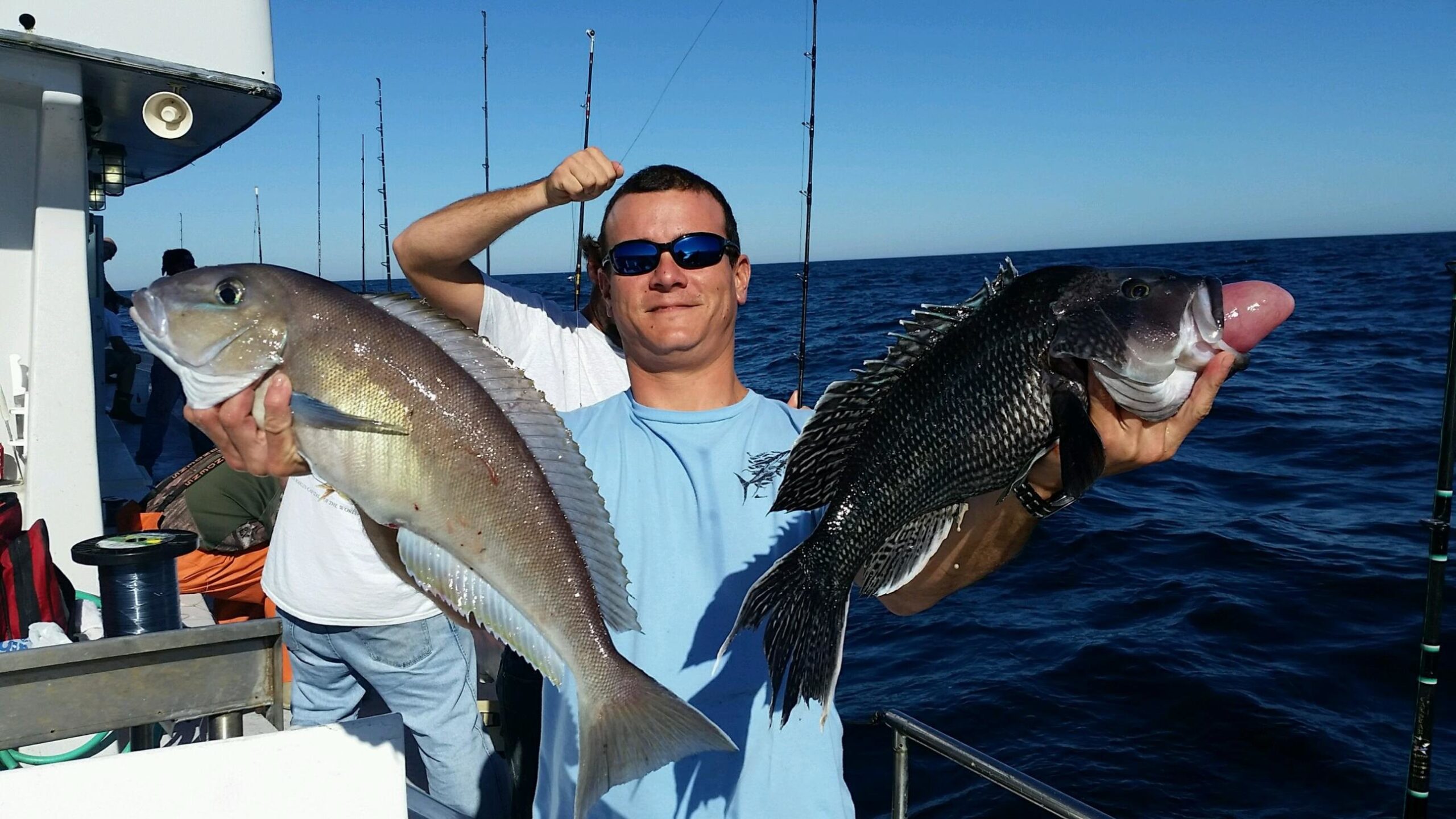 Limits of Sea Bass and Blueline Tiles Today