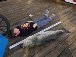 12376279_970029319720698_8738525834159497378_n