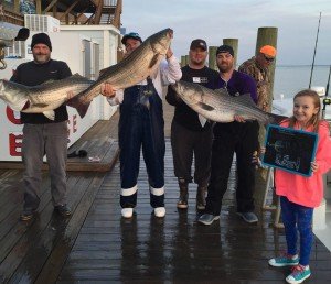 12346380_969236683133295_143863534193296851_n