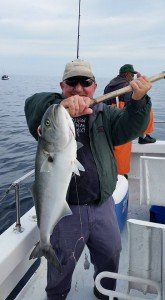 12313582_10156521550635105_2809278580450520710_n