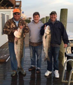 12341223_969236543133309_2343729780102532965_n