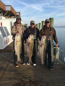 12360244_969236489799981_2544213501332361711_n