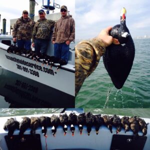 12345661_923531324363013_3896925599999604428_n