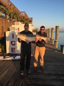 12342806_968743923182571_1668729745118047883_n