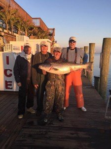 12316341_968743926515904_9010913554410309835_n