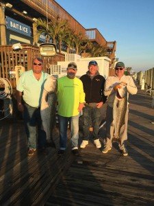 12313779_968743929849237_2872320088900879396_n