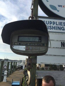 12366785_10205085621476523_1759683698_n