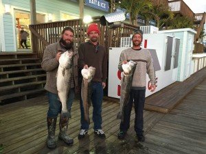 12308259_967377196652577_8625033119526879991_n