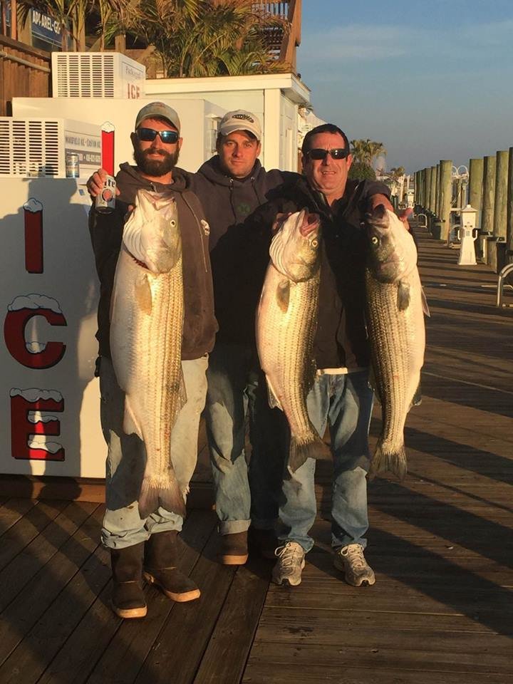 Rockfish and Reef Buildin’