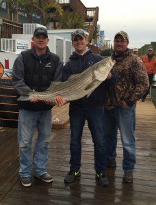 12308544_966904350033195_3376592817487581154_n