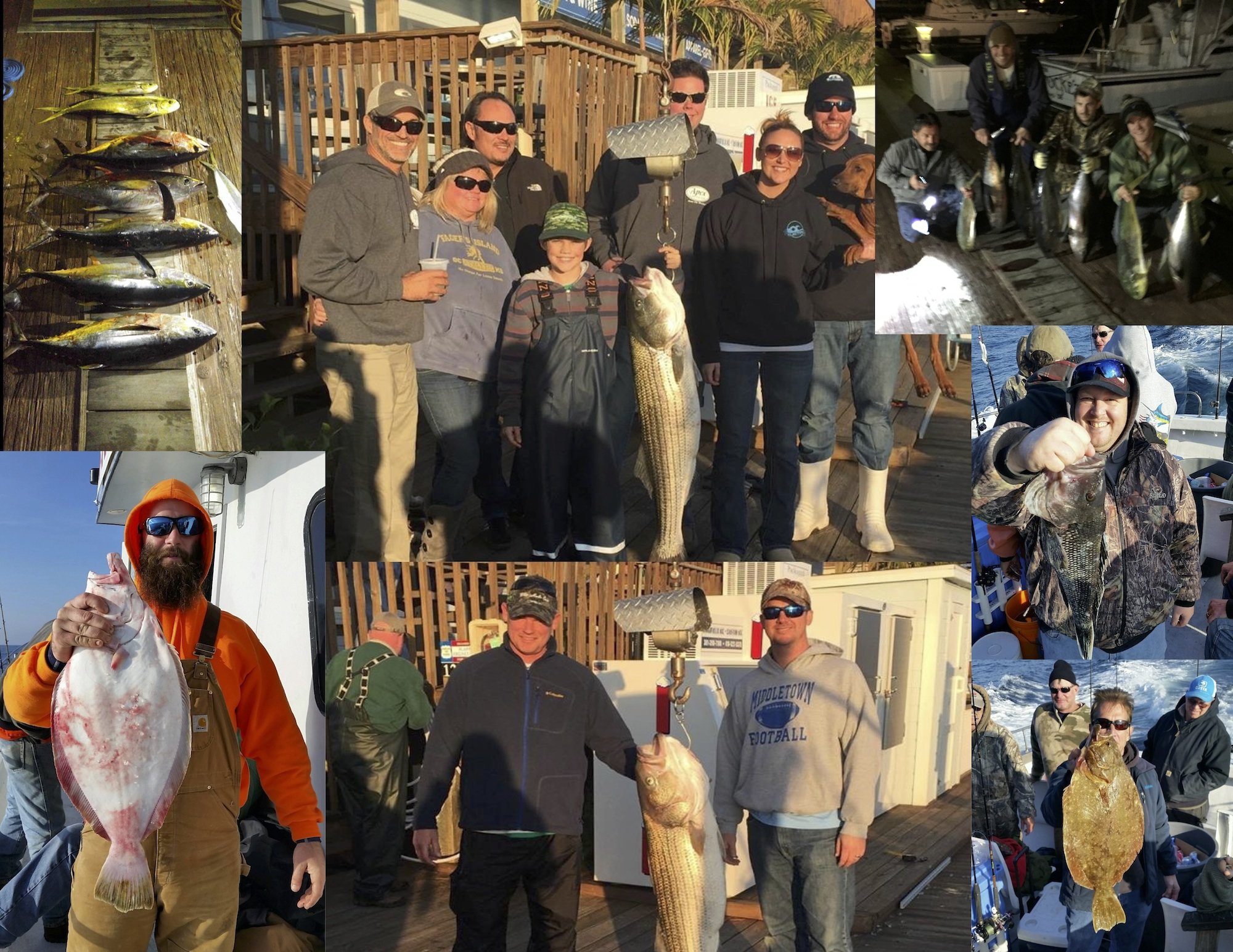 Is This Report For Real?!