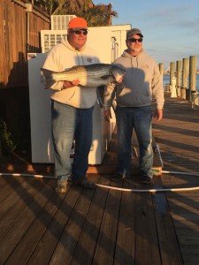 12316467_966020570121573_3929736395096880905_n