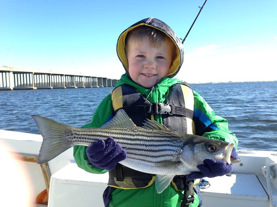 Rockfish in the Bay, Tog in the Ocean