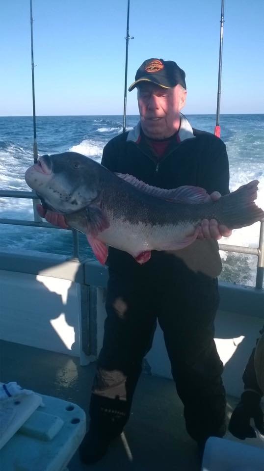 Tautog