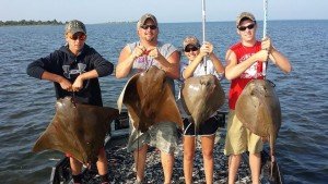 1977112_836971136361530_1534077469139177492_n